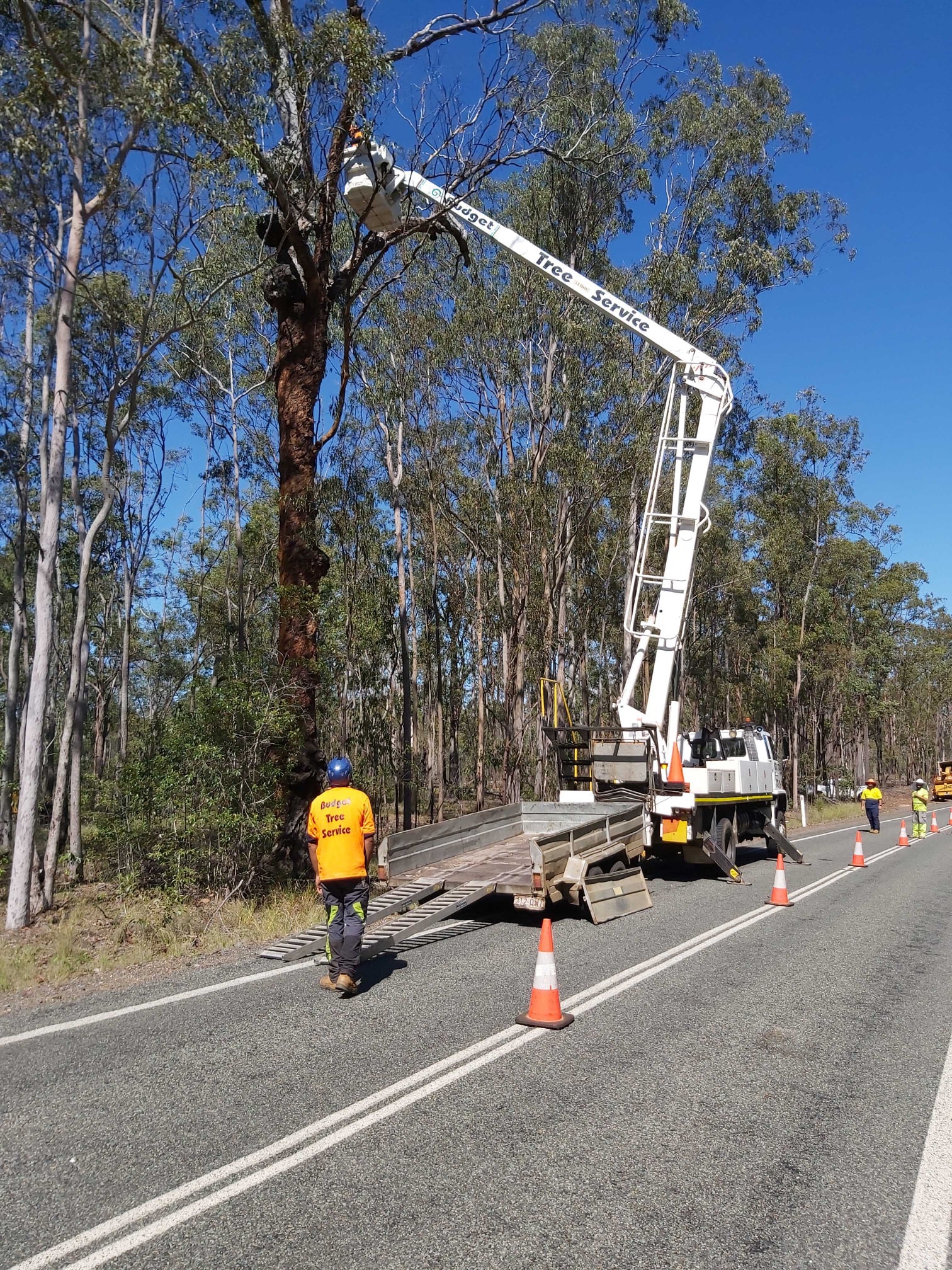 dead wooding using elevated work platform with traffic control in place