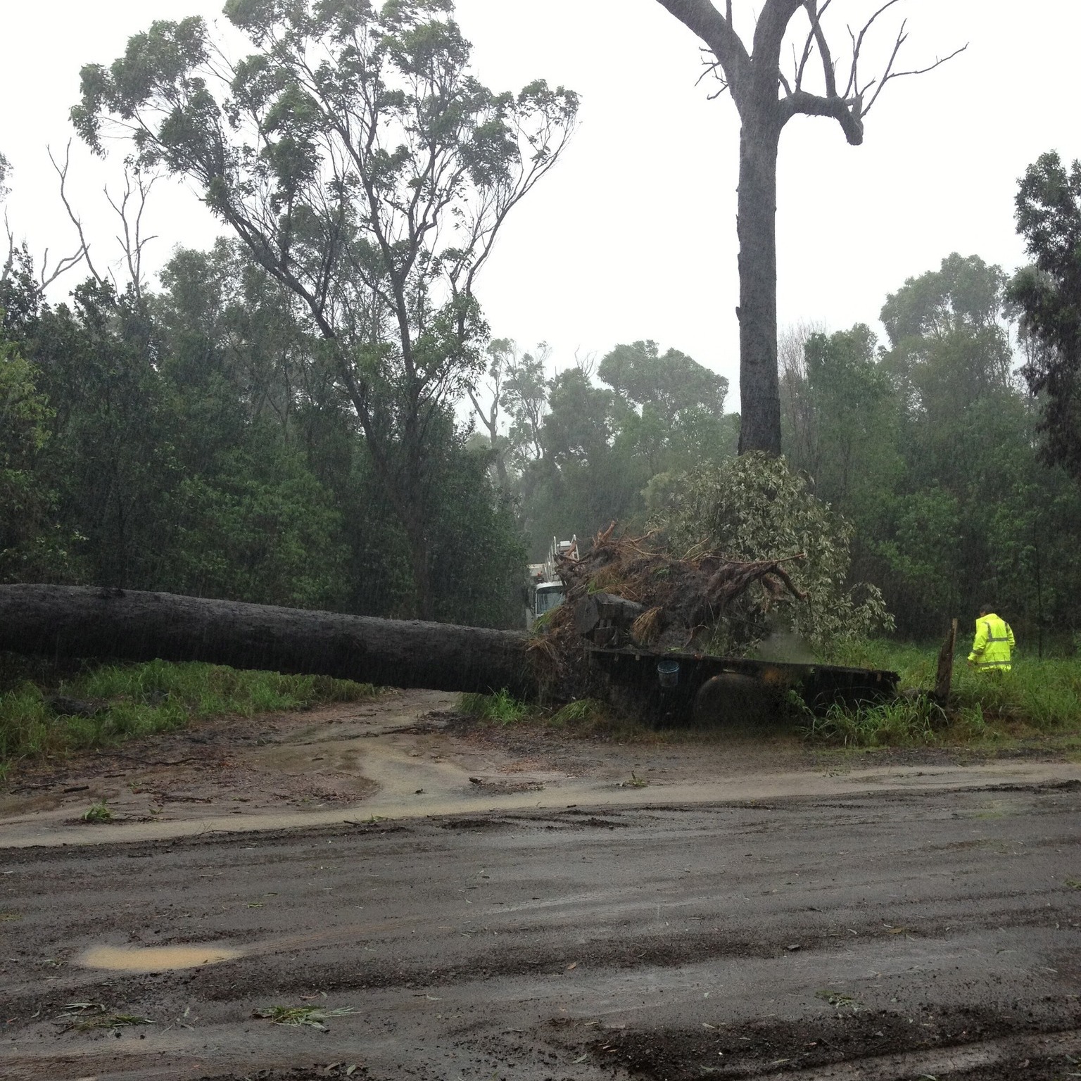 fallen tree blocking roadside being cleared with equipment and crew