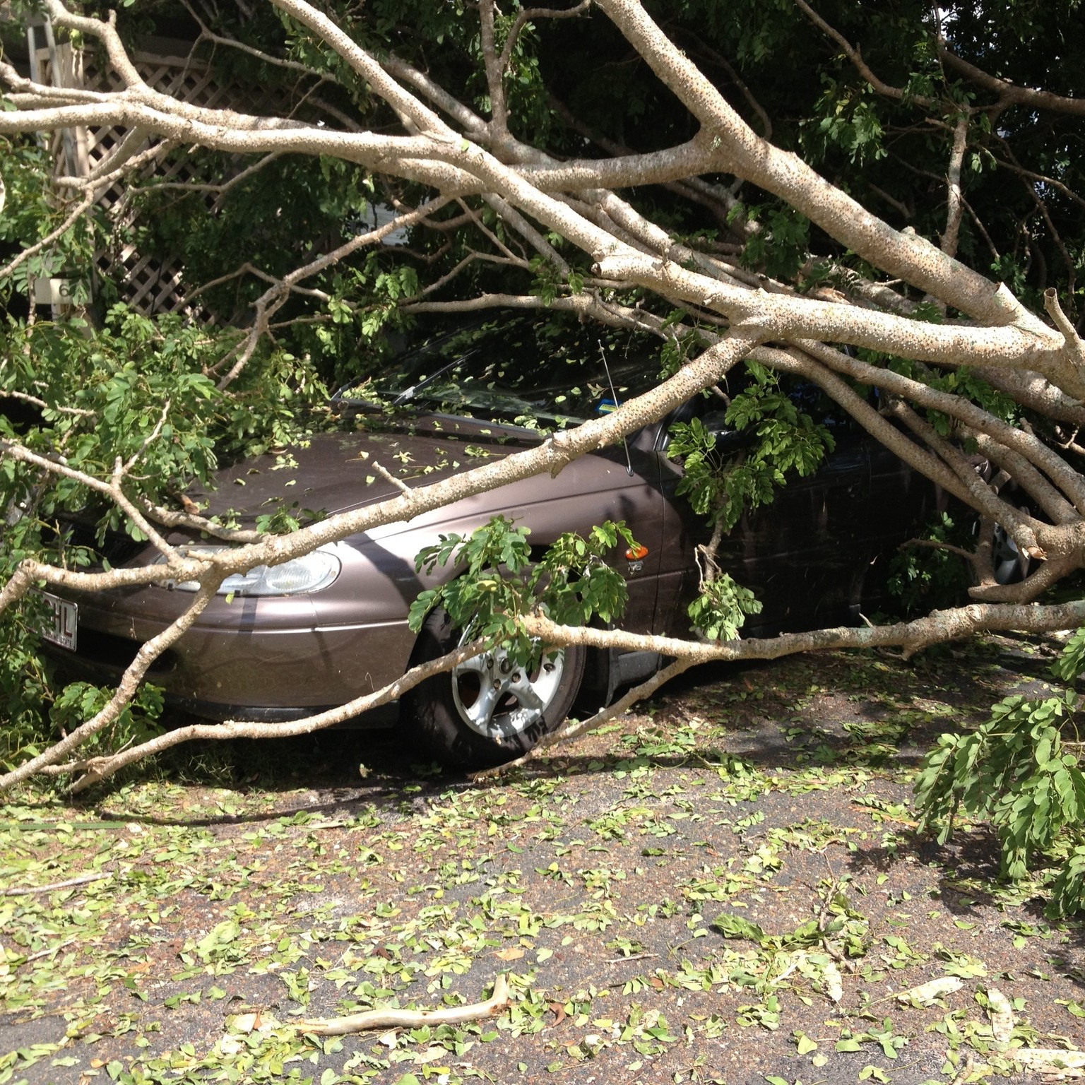 storm damaged tree fallen onto car causing property damage
