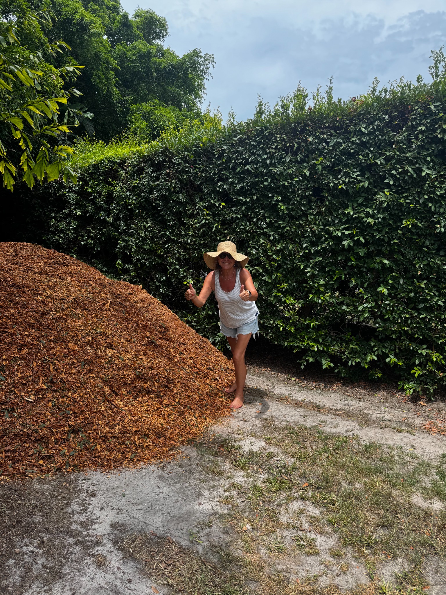 mulch delivery Fraser Coast customer with fresh forest mulch pile
